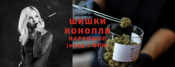 твердый Медногорск