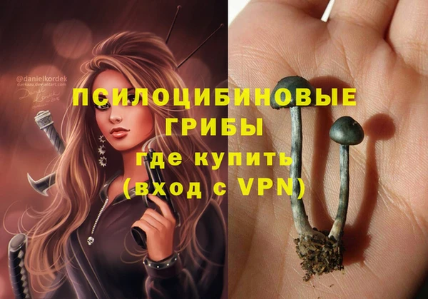 амф Мегион