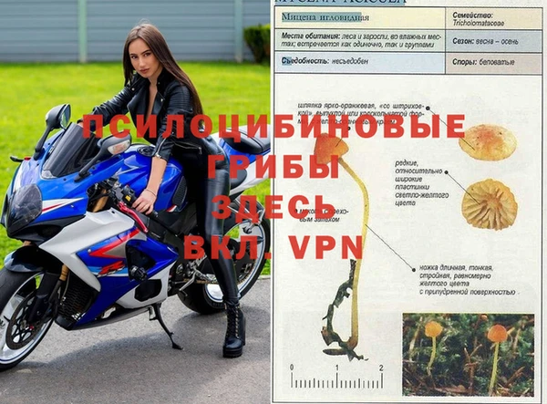 твердый Медногорск