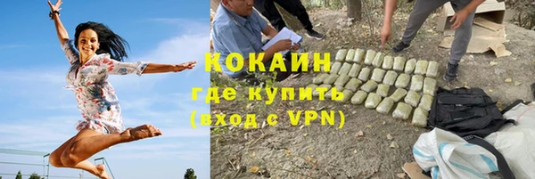 сатива Новочеркасск