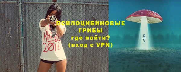 амф Мегион
