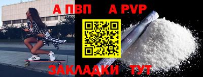 твердый Кингисепп