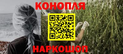 твердый Кингисепп