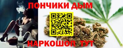 твердый Кингисепп