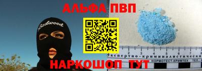 твердый Кингисепп