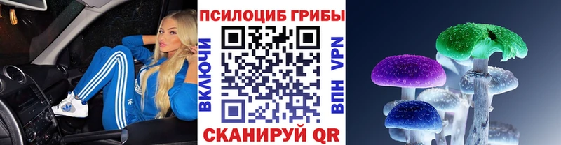 хочу наркоту  Сыктывкар  Галлюциногенные грибы Psilocybe 