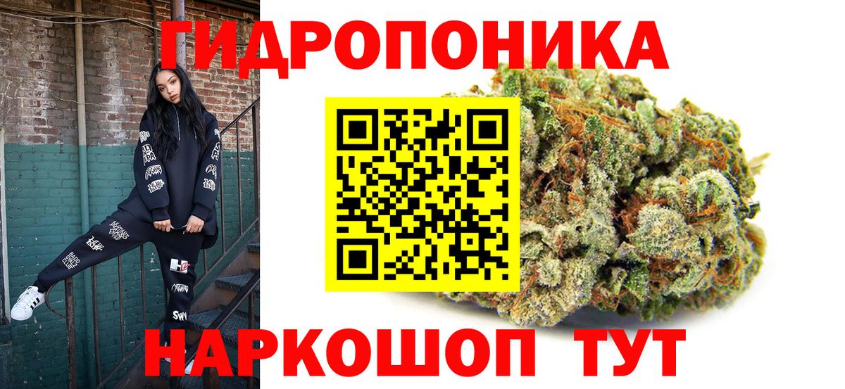 Канабис сатива  Сыктывкар  Бошки марихуана тримм  Каннабис планчик 